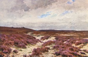 Frensham Common (värilitro) tekijältä Harold Sutton Palmer