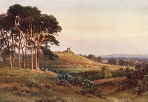 Reigate Heath, ilta (värilitro) tekijältä Harold Sutton Palmer