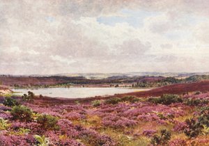 Suuri lampi, Frensham (värilitro) tekijältä Harold Sutton Palmer