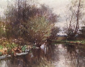Myllypuro, Ockham (värilitro)