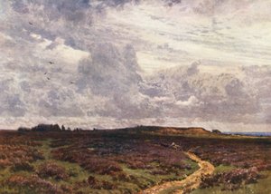 The Sandy Road, Milford Heath (värilitro)