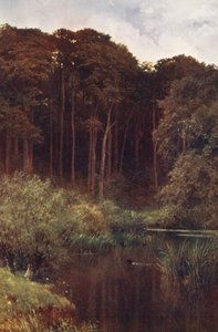 Woodland Depths, Wotton (värilitro) tekijältä Harold Sutton Palmer