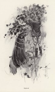 Nainen poimimassa kukkia miesihailijan kanssa (litho) tekijältä Harrison Fisher