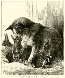 Poikkeuksellinen perhe tekijältä Harrison William Weir