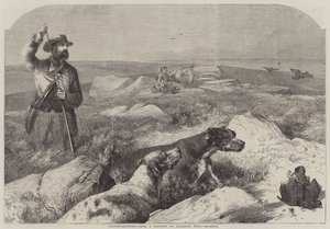 Grouse-ammunta (kaiverrus) tekijältä Harrison William Weir