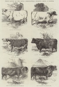 Palkintokarja Royal Agricultural Societyn näyttelyssä Exeterissä
