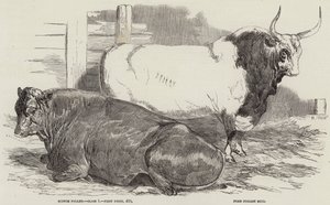 Palkintokarja Royal Agricultural Societyn näyttelyssä Windsorissa tekijältä Harrison William Weir