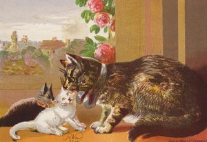 Kisu ja hänen kissanpentunsa (värilitografia) tekijältä Harrison William Weir