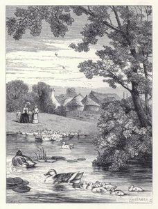 The Duck Pond (kaiverrus) tekijältä Harrison William Weir