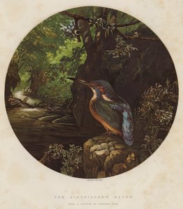 Kingfisherin kummitus tekijältä Harrison William Weir