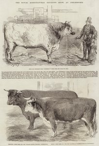 Royal Agricultural Societyn näyttely Chelmsfordissa tekijältä Harrison William Weir