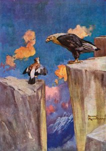 Jay and the Nightingale (väri litho)