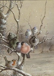 Linnut lumisella oksalla