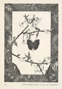 Perhonen. Ne kukkivat tänään, putoavat huomenna. tekijältä Harry Clarke
