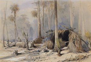 Cypress-Shingle Yard, Ocklawaha River, Florida, 1870. tekijältä Harry Fenn