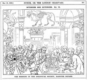 Royal Zoological Societyn kokous, Hanover Square, Lontoo, 1885 tekijältä Harry Furniss