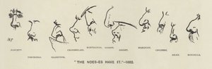 Noes-es (eli poliitikkojen nenät) on se - 1883 (litho) tekijältä Harry Furniss