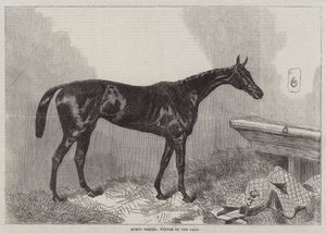 Queen Bertha, tammien voittaja