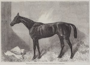The Marquis, Newmarketin Two Thousand Guineas Stakes -kilpailun voittaja.