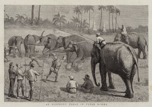 Elephant Pooay Ylä-Burmassa tekijältä Harry Hamilton Johnston