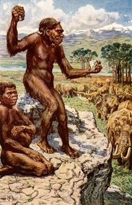Neandertalin ihmiskunta