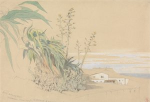 Aloe ja viikunapäärynät, Tarragona, Espanja