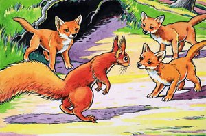 Pikku punainen orava