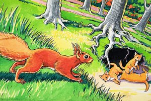 Pikku punainen orava