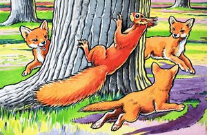 Pikku punainen orava tekijältä Harry M. Pettit