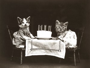 Kissat Sarja: 1914 (hopeakopio).