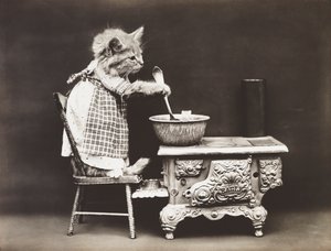 Kissat Sarja: 1914 (hopeakopio).