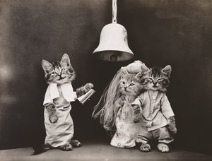Kissat Sarja: 1914 (hopeapaino)