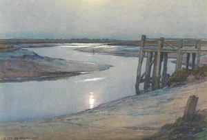 Moonlight - ruis
