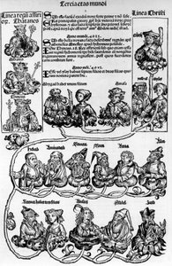 Sukupuu, Jessen puu; Nürnbergin kronikka