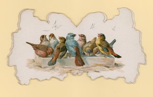 Linnut (väri litho) tekijältä Hector Giacomelli
