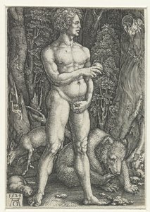 Adam tekijältä Heinrich Aldegrever