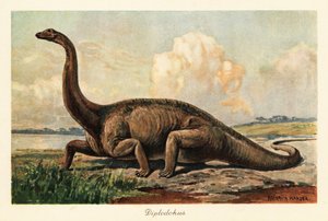 Kuolleet sukupuuttoon Diplodocus longus tasangoilla.