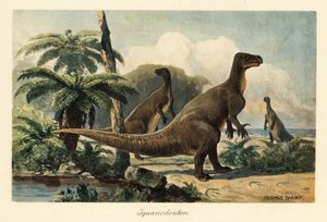 Iguanodon bernissartensis esihistoriallisessa saniainenmetsässä.