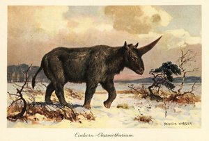 Siperian yksisarvinen, Elasmotherium sibiricum, lumisella tasangolla.