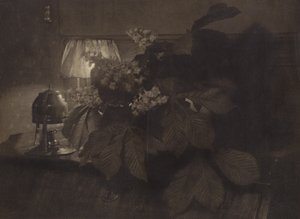 [Asetelma, jossa on hevoskastanjan kukkia, lamppu ja uurna] tekijältä Heinrich Kuhn