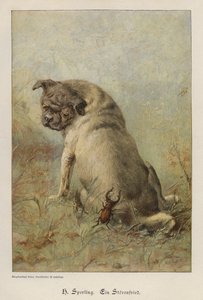 A Troublemaker (värillinen kaiverrus) tekijältä Heinrich Sperling