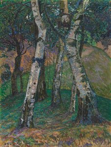 Koivut Barkenhoffissa, 1913.