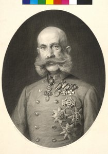 Itävallan keisari Franz Joseph I tekijältä Heinrich von Angeli