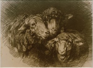 lampaat tekijältä Heinrich von Zügel