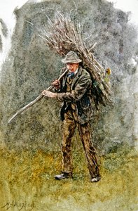 Puunippu (akvarelli paperille) tekijältä Helen Allingham