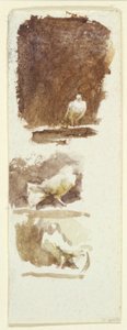 Kyyhkyset (wc paperilla) tekijältä Helen Allingham