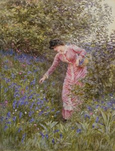 Sinikellojen kerääminen (wc vartalovärillä paperilla) tekijältä Helen Allingham