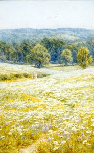 Oxeye Daisies, lähellä Westerhamia, Kentissä (akvarelli paperille) tekijältä Helen Allingham