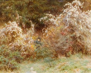 Travellers Joy: A Surrey Hedgerow (wc paperilla) tekijältä Helen Allingham