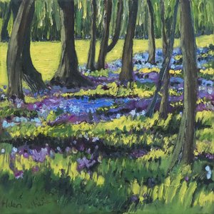 Bluebell Wood, 2008 finlandês tekijältä Helen White